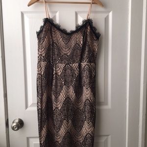 Nude&Black Lace Cocktail Dress, Misguided, Size 12